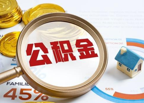 秦皇岛2025年政策调整对个人影响综合解析